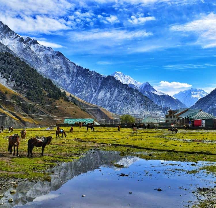 Kashmir Package